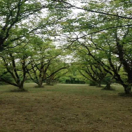 Slate-roofed Hideaway
