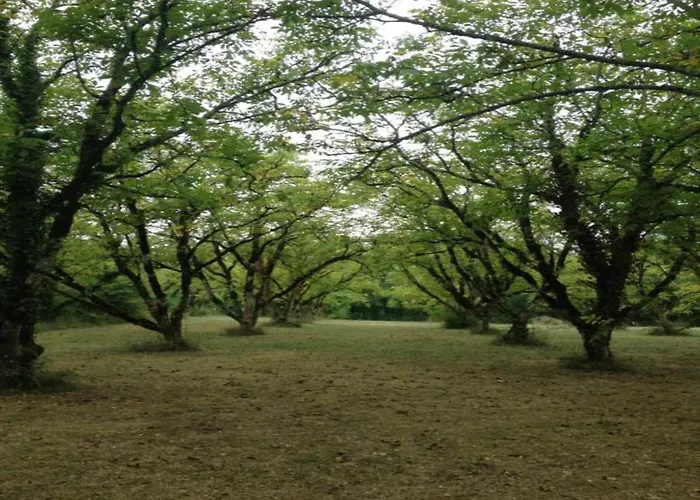 Slate-roofed Hideaway